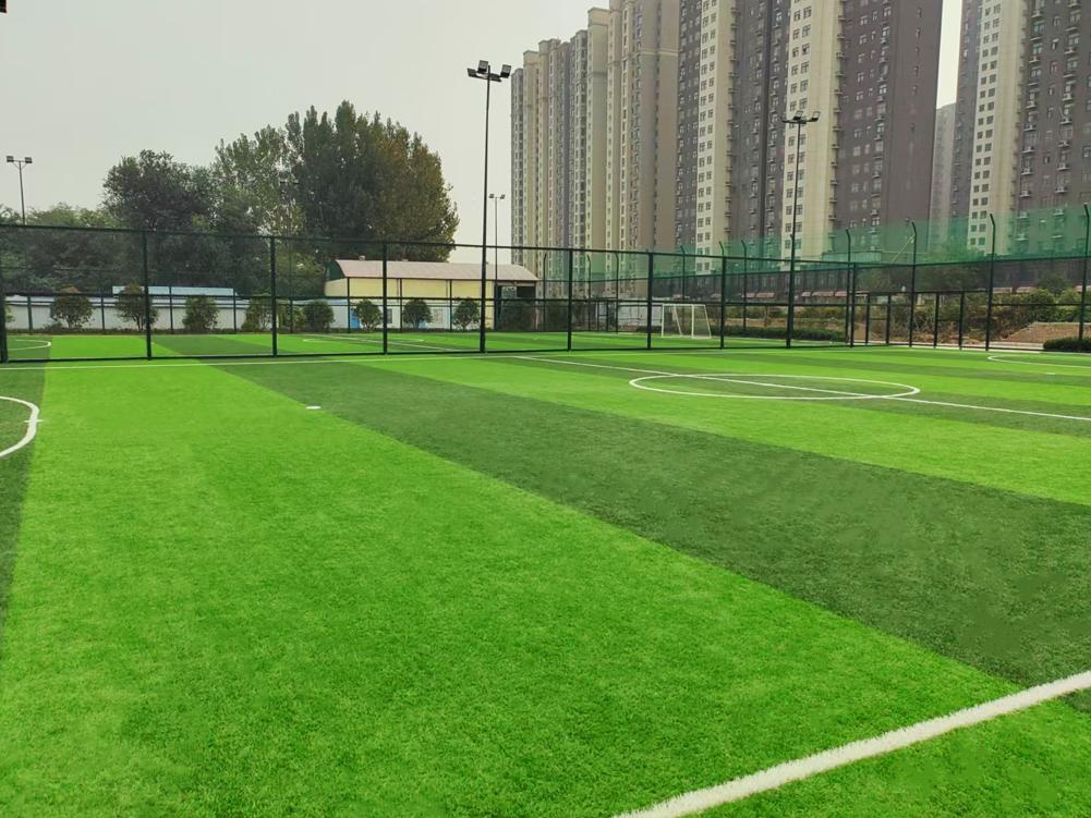 Zhengzhou Sias University Football