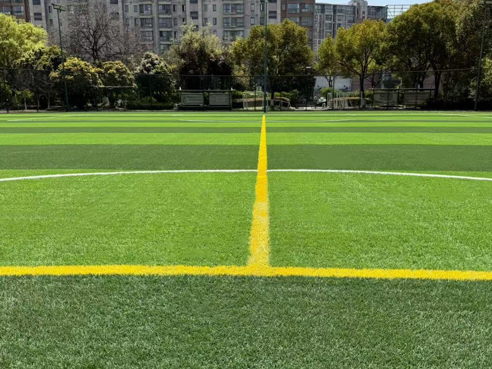 24812.jpg