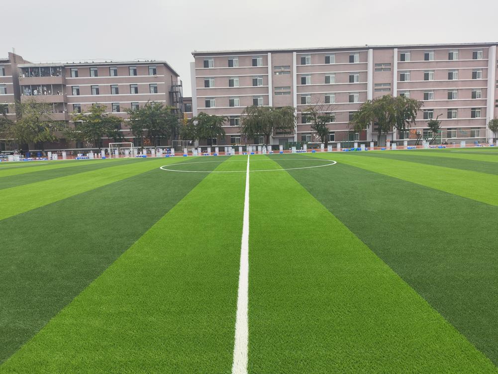 Liaoning Eco-Engineering College,V
